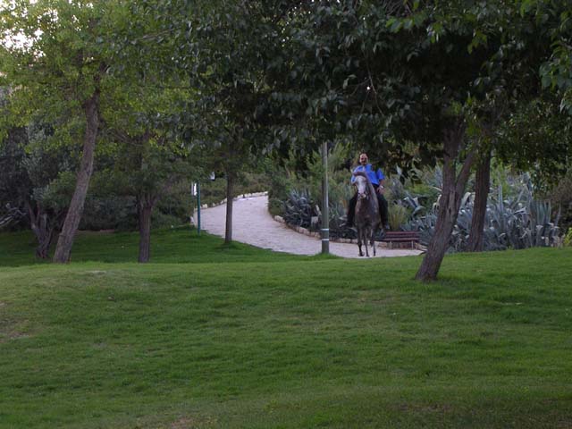 Horse Riding