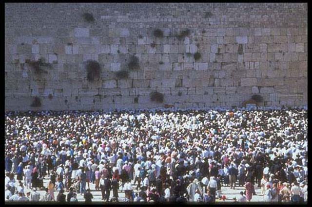 Western Wall Gathering