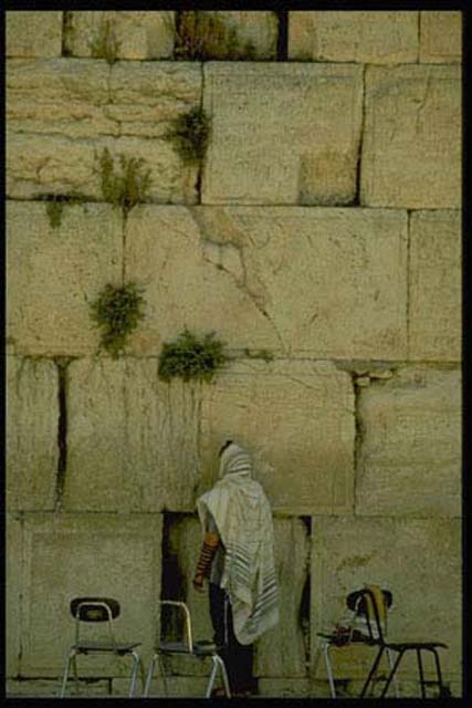 Western Wall man at Prayer