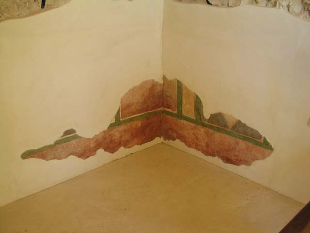Masada Plaster